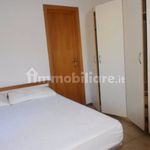 Affitto 2 camera appartamento di 45 m² in Rosignano Marittimo