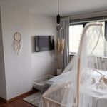 Huur 3 slaapkamer huis van 695 m² in Bornem