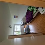 Rent 4 bedroom apartment in Val-de-Ruz