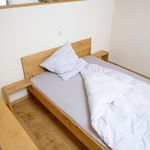 Miete 2 Schlafzimmer wohnung von 50 m² in Dreieich
