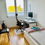 Rent 4 bedroom apartment of 134 m² in Hanau