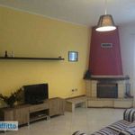Rent 4 bedroom apartment of 110 m² in Noto