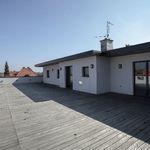 Wynajmij 1 sypialnię dom z 500 m² w Wrocław
