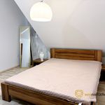 Rent 5 bedroom apartment of 120 m² in Groblice