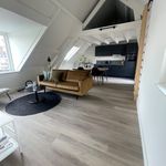 Rent 2 bedroom apartment of 55 m² in Nijmegen