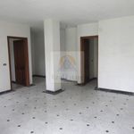 Rent 4 bedroom apartment of 141 m² in Luni