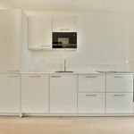 Rent 5 bedroom house of 135 m² in Marken