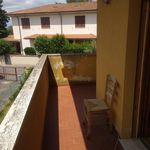 Rent 1 bedroom apartment of 40 m² in Pisa