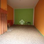 Rent 1 bedroom apartment of 80 m² in Francavilla Fontana