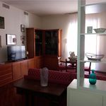 Rent 3 bedroom apartment of 100 m² in Piacenza