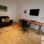 Rent 1 bedroom apartment of 50 m² in Nuremberg