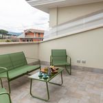Rent 1 bedroom apartment in Ciampino