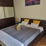 Najam 3 spavaće sobe stan od 70 m² u Primorsko-goranska