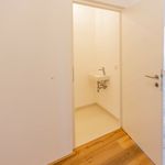 Rent 2 bedroom apartment of 69 m² in Schleedorf