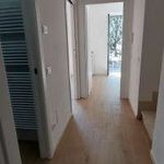 Affitto 4 camera appartamento di 90 m² in Genova