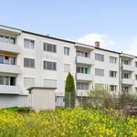 Rent 4 bedroom apartment in Courgenay