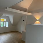Rent 1 bedroom apartment of 48 m² in Tilburg