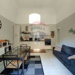 Rent 4 bedroom house of 100 m² in Acireale