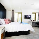Rent 1 bedroom apartment in Belfast
