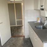 Rent 3 bedroom apartment of 55 m² in Dordrecht