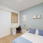 Rent a room of 110 m² in Castelló de la Plana