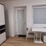 Rent 1 bedroom apartment of 27 m² in Jílové