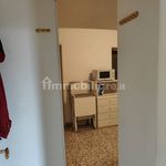Rent 5 bedroom apartment of 150 m² in Pisa