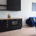 Rent 2 bedroom apartment of 39 m² in Wroclaw