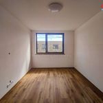 Rent 5 bedroom apartment of 100 m² in Těrlicko