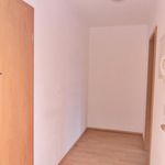 Rent 1 bedroom apartment of 35 m² in Chemnitz
