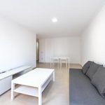 Rent 1 bedroom apartment of 50 m² in Málaga