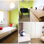 Rent 6 bedroom apartment in Łódź