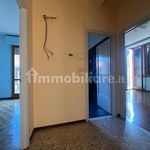 Rent 3 bedroom apartment of 100 m² in Parma