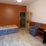 Rent 3 bedroom apartment in Lažánky