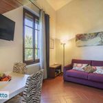 Rent 2 bedroom apartment of 45 m² in Firenze