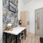 Rent 10 bedroom apartment in Poznan
