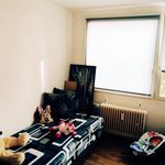 Rent 4 bedroom apartment of 84 m² in Teplice