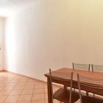 Rent a room of 65 m² in Roma