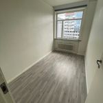 Rent 5 bedroom apartment of 69 m² in Bergen