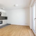 Rent 2 bedroom apartment of 36 m² in Wien