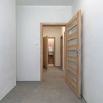 Rent 2 bedroom apartment of 60 m² in Litvinov
