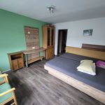 Rent 1 bedroom apartment of 20 m² in Straubenhardt