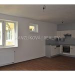 Rent 2 bedroom apartment of 51 m² in České Budějovice