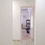 Affitto 5 camera appartamento di 260 m² in Catania