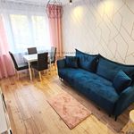 Rent 2 bedroom apartment of 38 m² in Toruń