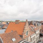  appartement avec 1 chambre(s) en location à Leuven