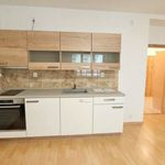 Rent 1 bedroom apartment of 49 m² in Cheb