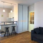 Rent 1 bedroom apartment of 31 m² in Saint-Germain-en-Laye