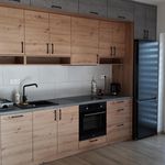 Wynajmij 3 sypialnię apartament z 63 m² w Gliwice