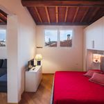Rent 1 bedroom apartment of 56 m² in Firenze